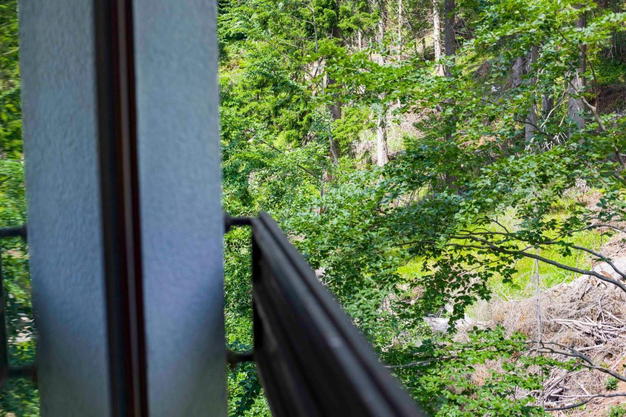 Forest Dream Apartment - Elit Pamporovo Exteriör bild