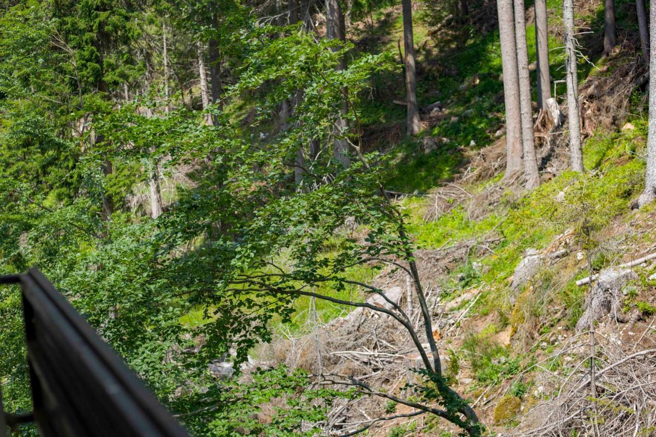 Forest Dream Apartment - Elit Pamporovo Exteriör bild